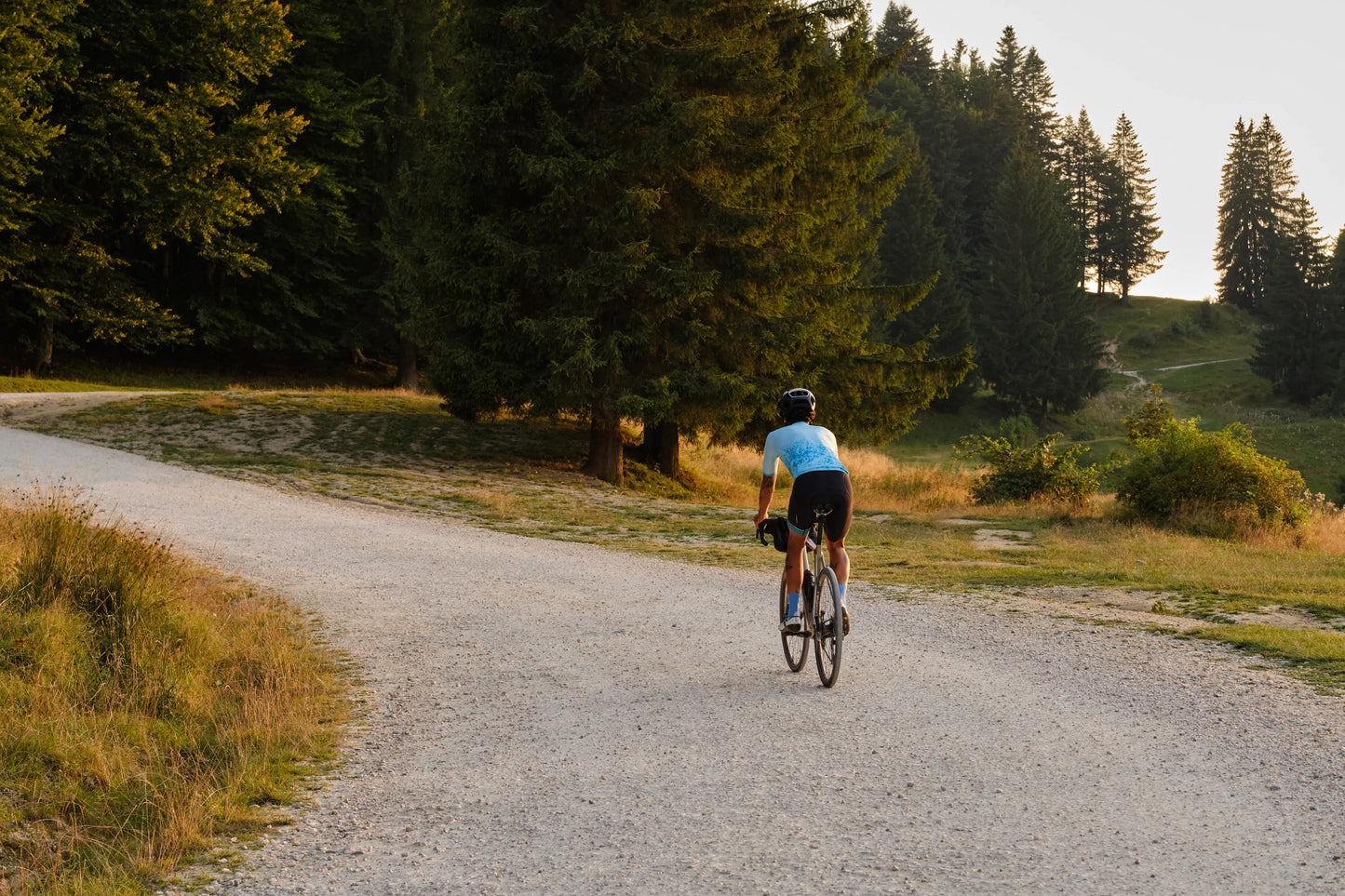 CYCLZ by Irena Koller